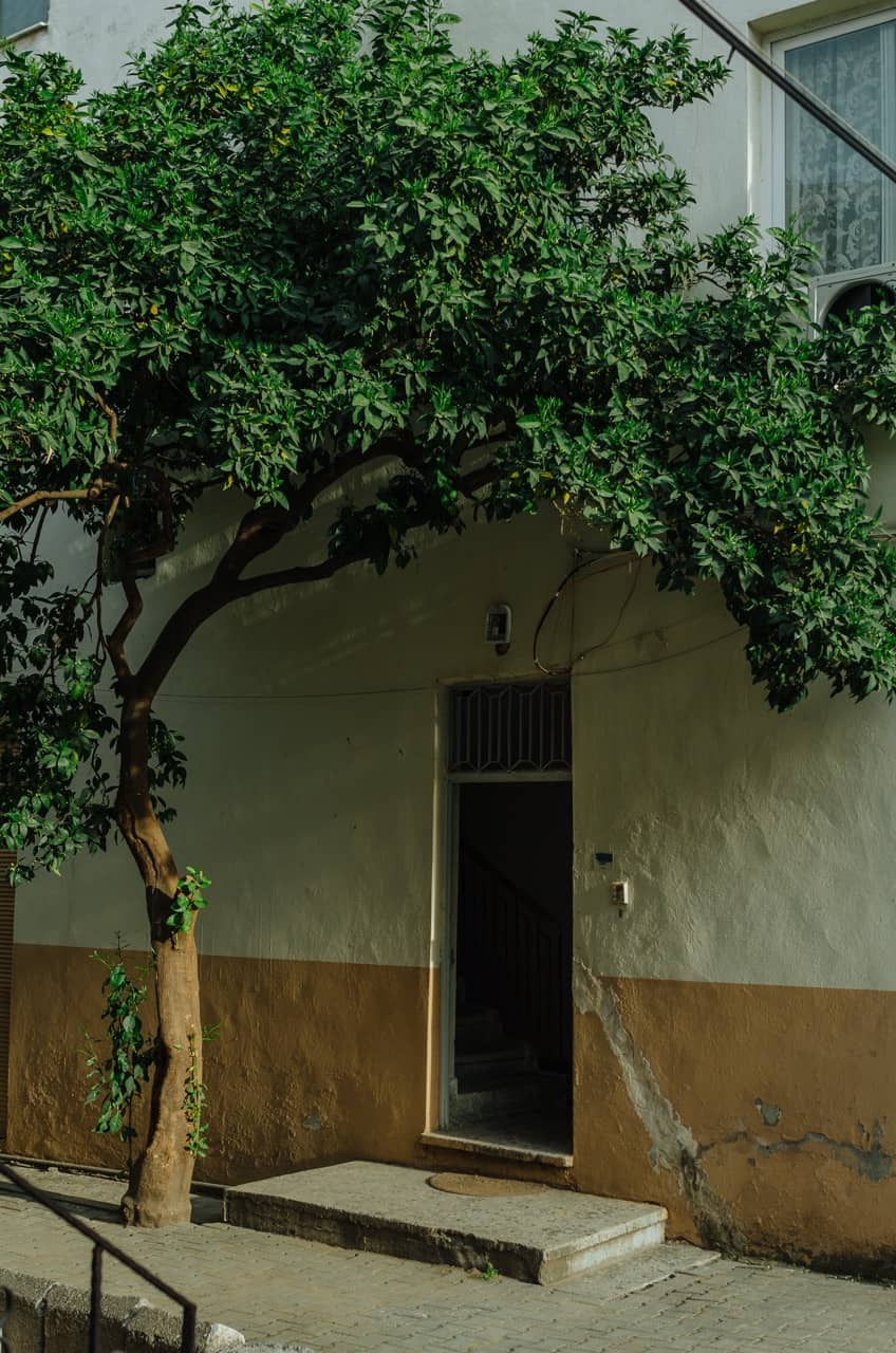 Превью Erdemli 2023